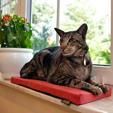 Materac na parapet dla kota Lauren design CLEO 50x20cm beżowy