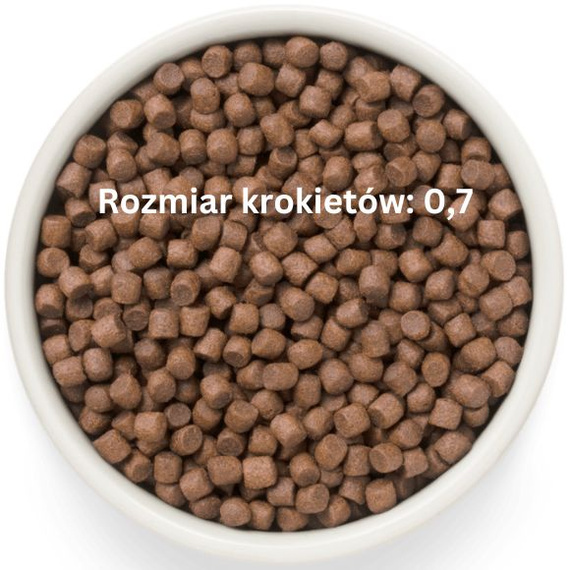 Grandorf Fresh Duck Adult Mini – bezzbożowa karma dla psów dorosłych 1kg