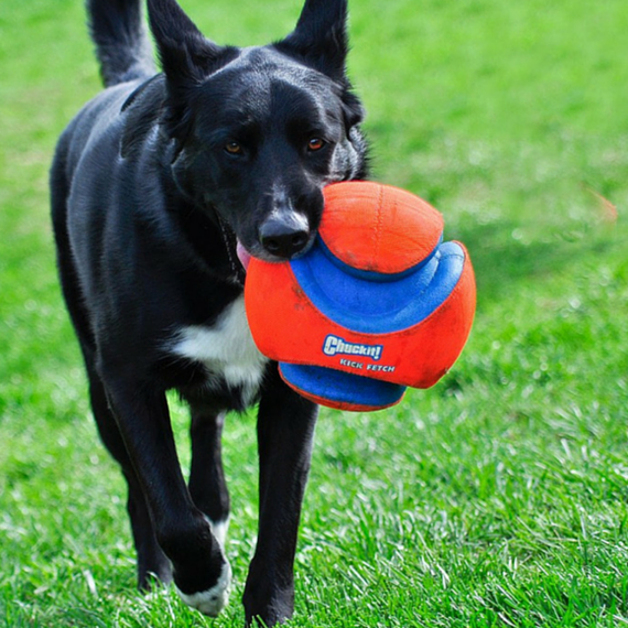 Chuckit! Kick Fetch Large - piłka dla psów - średnica 20cm