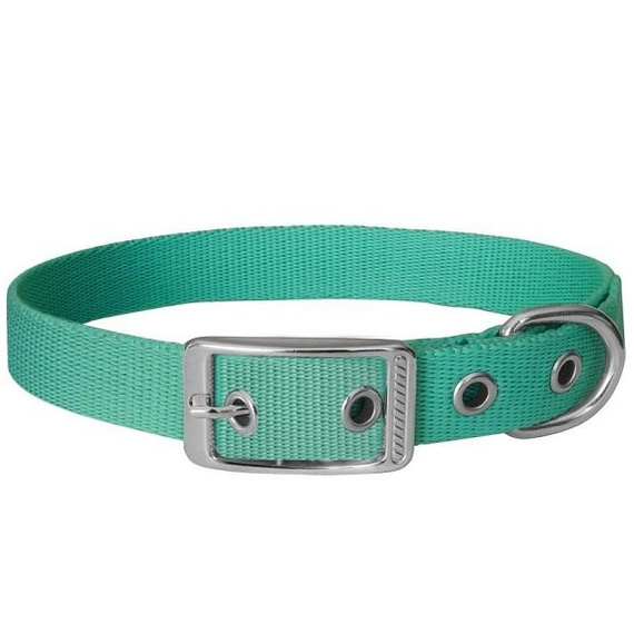 Obroża dla psa wykonana z taśmy 16mm/46cm miętowa Chaba