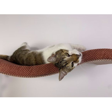 Cat's Atelier Półka na ścianę dla kota fala symetryczna lewa 75cm - jasnoszara