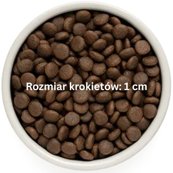 Grandorf Medium Maxi Adult Rabbit Turkey 10kg – karma hipoalergiczna dla psów 