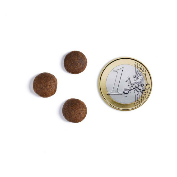 Ambrosia Mediterranean Świeża Sardynka i Tuńczyk sucha karma dla psów 5kg