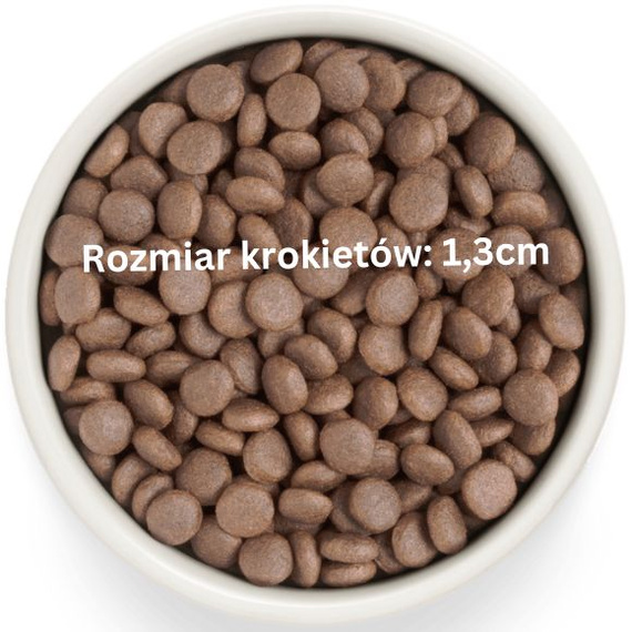 Grandorf Fresh Turkey Adult Medium Maxi - bezzbożowa karma dla psów dorosłych 10kg