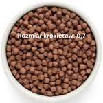 Grandorf Fresh Turkey Adult Mini – bezzbożowa karma dla psów dorosłych 1kg