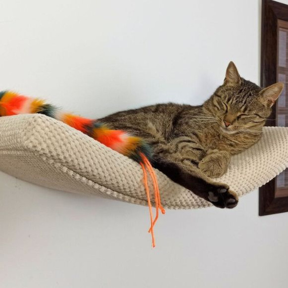 Półka na ścianę dla kota ŁUK 60 - kremowa