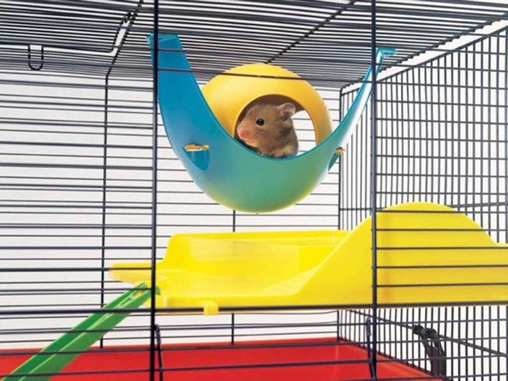  Domek dla małego gryzonia Savic Sputnik