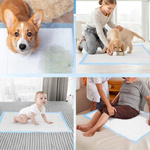 Podkłady Higieniczne 60x60 cm dla Psów – Superchłonne 50 szt.