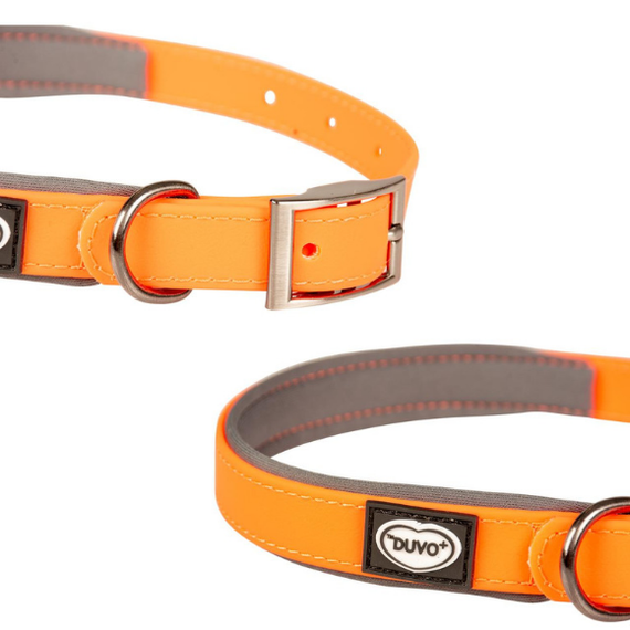 Obroża Duvo+ Explor South PVC pomarańczowa M 35-55cm/20mm