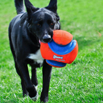 Chuckit! Kick Fetch Large - piłka dla psów - średnica 20cm