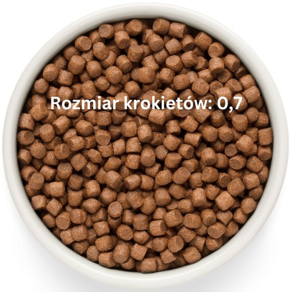 Grandorf Fresh Salmon Adult Mini – bezzbożowa karma dla psów dorosłych 1kg