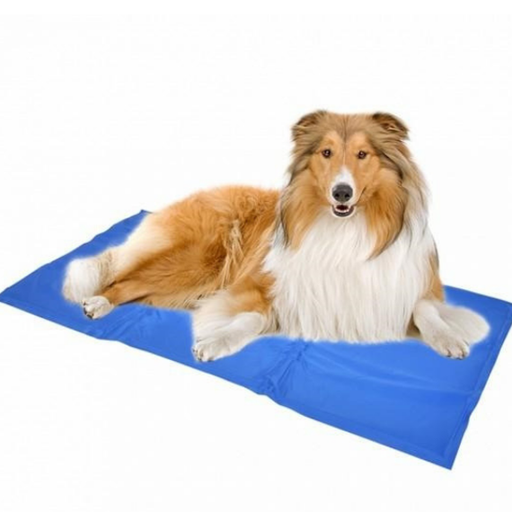 Mata chłodząca dla psa 50x90cm  Duvo+