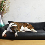 Legowisko ortopedyczne dla psa Rocky 83x73cm węgiel