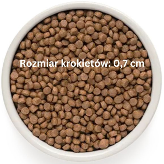 Grandorf Sterilised 4 Meat sucha karma dla dorosłych kotów 400g