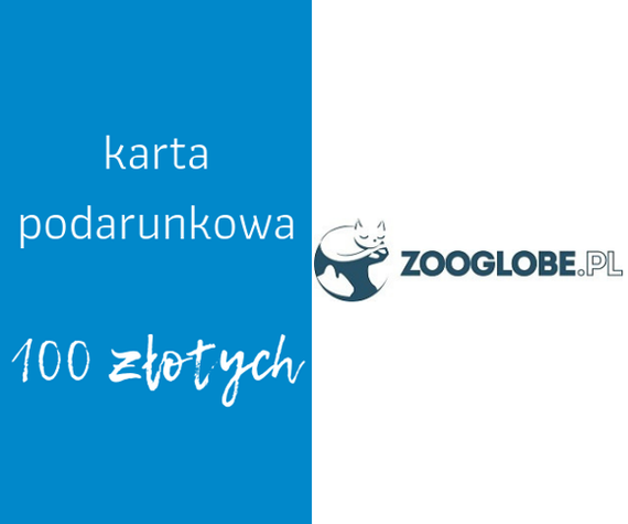Karta podarunkowa 100 pln