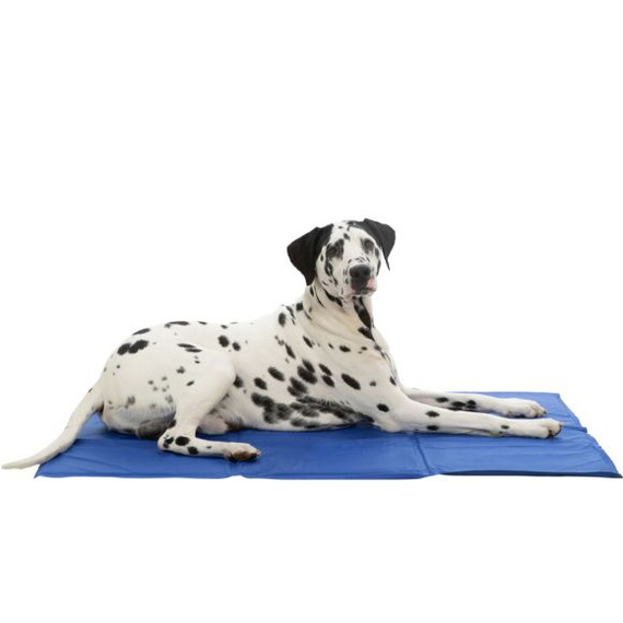 TX-28684 MATA CHŁODZĄCA 65x50cm           NIEBIESKA