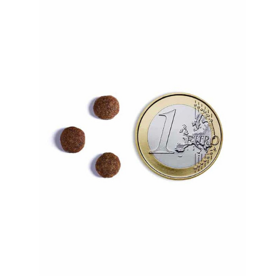 Ambrosia Fresh Indyk i Kurczak - karma dla kotów 5 kg