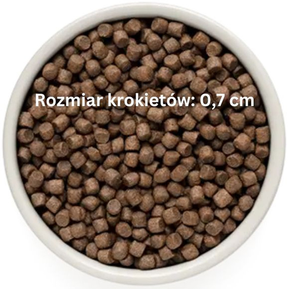 Grandorf Adult Mini 4 Meat 1kg sucha karma dla psów dorosłych