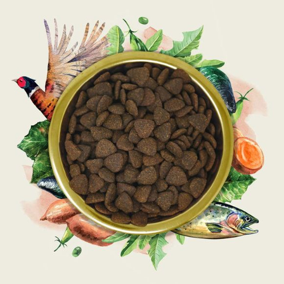 Eden Gourmet Łosoś i Bażant – sucha karma dla psa 10kg