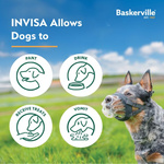 BASKERVILLE KAGANIEC INVISA 1