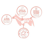 Eden Gourmet Łosoś i Bażant – sucha karma dla psa 2kg