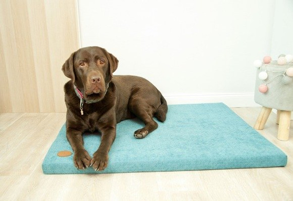 Lauren design legowisko DEMI - materac dla psa, kolor turkusowy 70/60cm