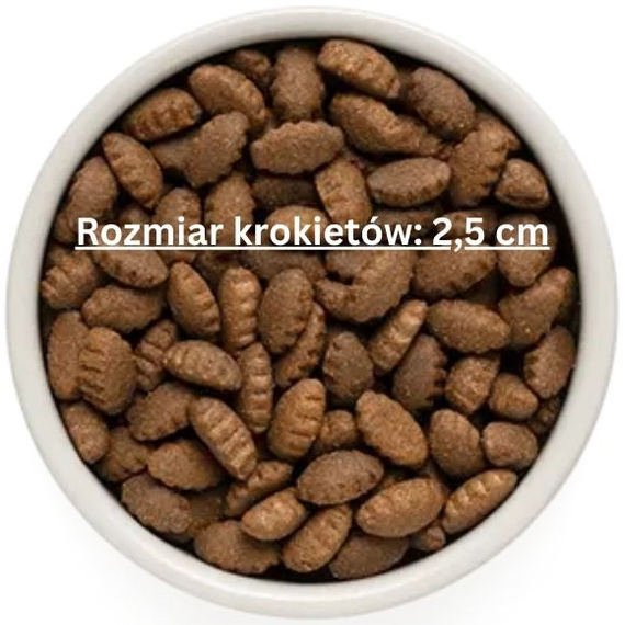 Grandorf Adult Maxi Jagnięcina i Indyk 10kg sucha karma dla psów dorosłych