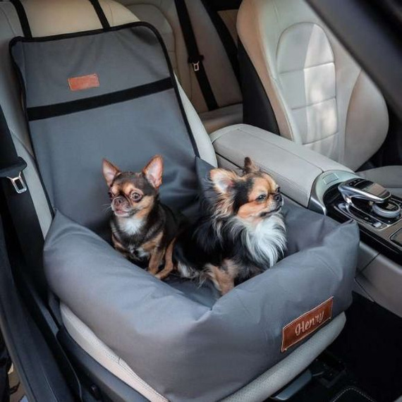 Transporter do samochodu dla psa lub kota w kolorze szarym - Dogeste