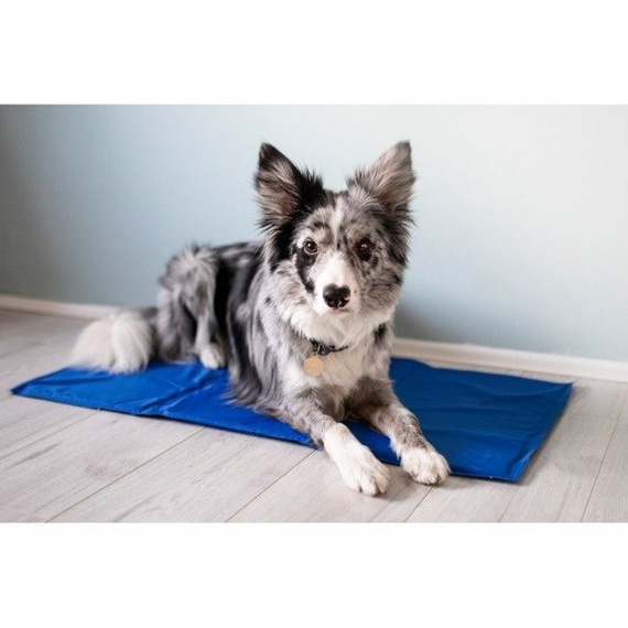 Mata chłodząca dla psa 40 x 50 cm Pet Supplies