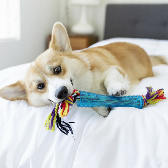 Petstages Orka Rurka z supłami - zabawka dla psa