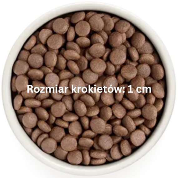 Grandorf Medium Maxi Adult White Fish 10kg – karma hipoalergiczna dla psów