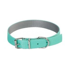 Dingo obroża dla psa Energy miętowa 55cm