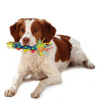 Petstages chłodzący gryzak dla ząbkujących szczeniąt 22cm