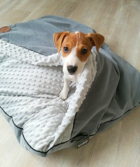 Legowisko dla psa lub kota - Lauren Design Norka Nel czarny velvet