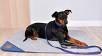 Lauren design Regulowana smycz dla psa 2cm/240cm granatowa