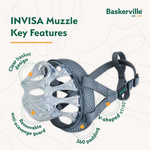 BASKERVILLE KAGANIEC INVISA 1