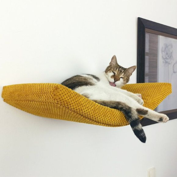 Półka ścienna dla kota ŁUK 60 cm - różne kolory