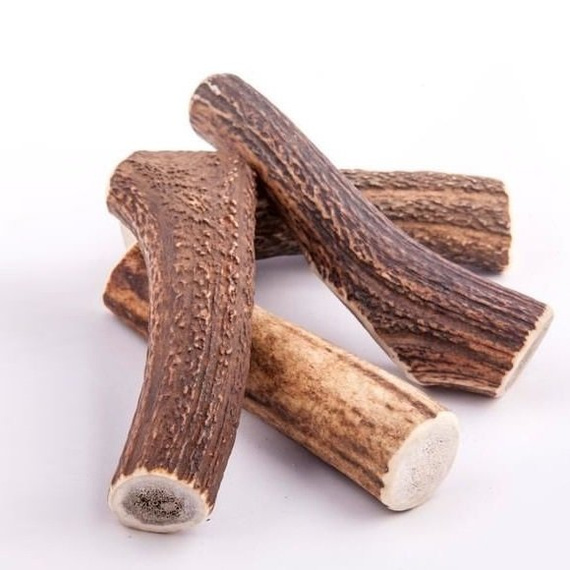 4DOGS HARD naturalny gryzak z poroża jeleniowatych M