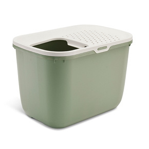 zielony (botanical green)
