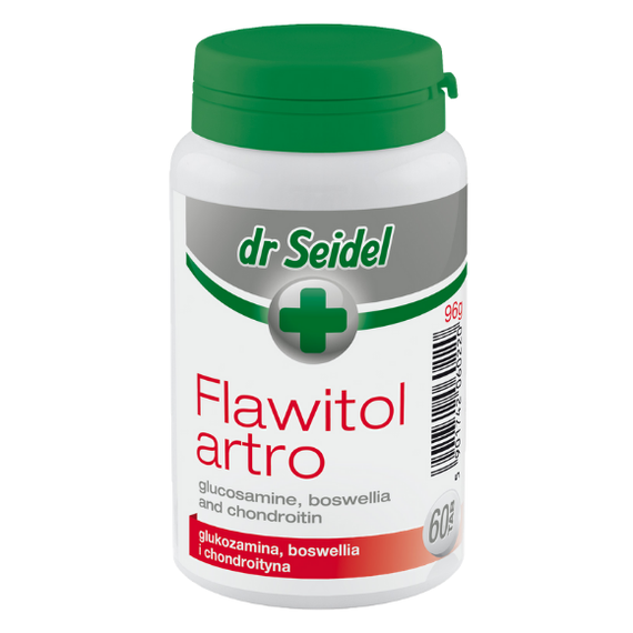 Flawitol Artro tabletki na stawy dla psów dorosłych 60 szt.