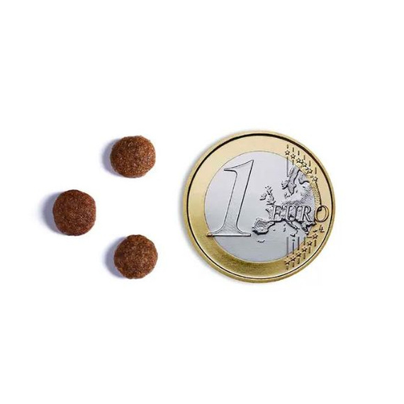 Ambrosia Puppy sucha karma dla szczeniąt Kurczak i Świeża Ryba 2kg