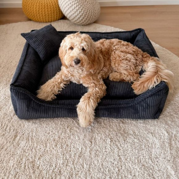 Milano Black legowisko ortopedyczne dla psa - rozmiar XXL