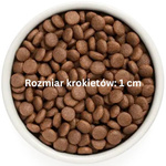 Grandorf Medium Maxi Adult Duck Turkey 3kg – karma hipoalergiczna dla psów 