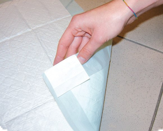 Podkłady higieniczne dla psów, zapach owocowy Record Italy 60x60cm 10 sztuk