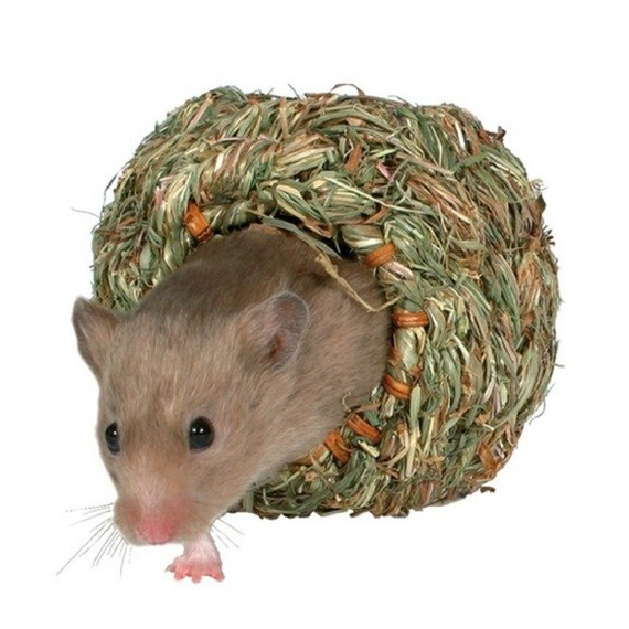 Gniazdo dla małych gryzoni