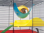  Domek dla małego gryzonia Savic Sputnik