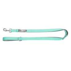 Dingo smycz da psa Energy2,5cm/ 220cm miętowa