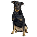 Kaganiec Dog Muzzle Rubber XL