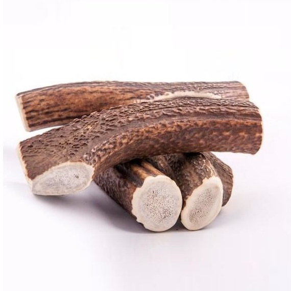 4DOGS HARD naturalny gryzak z poroża jeleniowatych M