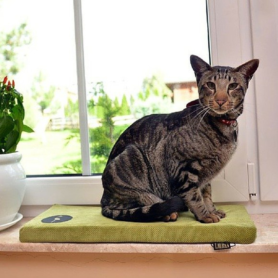 Materac na parapet dla kota Lauren design CLEO 50x20cm turkusowy